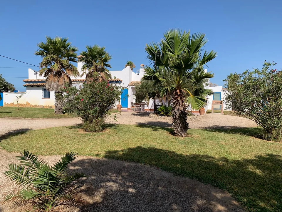 Casa Poniente entre palmeras y vegetación mediterránea